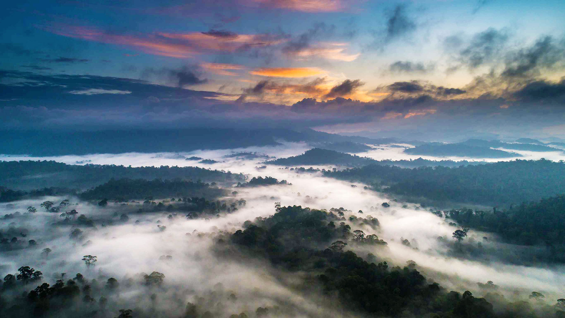 Best time to visit Danum Valley — Danum Valley, Sabah