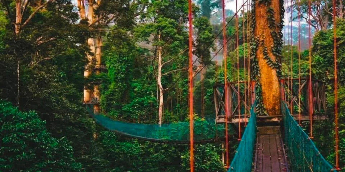 Day-by-day itineraries — Danum Valley, Sabah