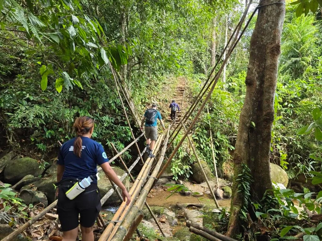 Every trail, ranked by difficulty — Danum Valley, Sabah