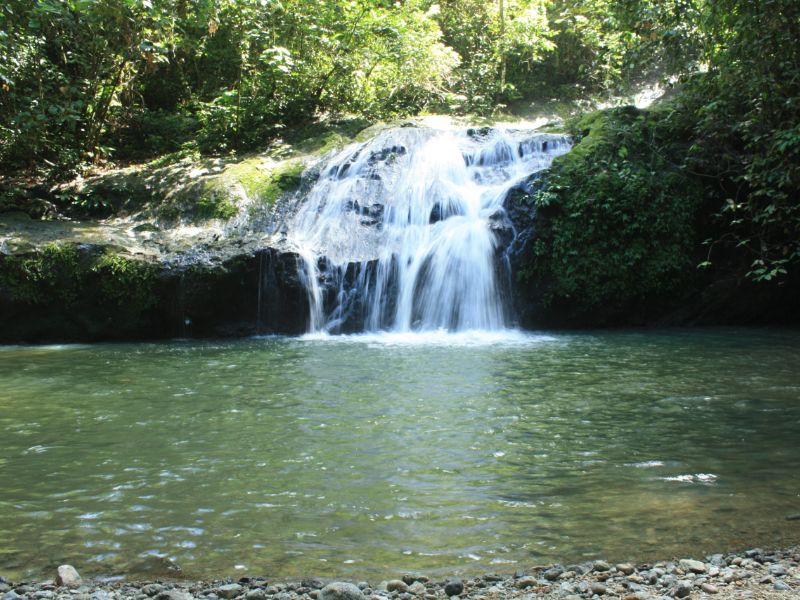 Fairy Falls — Danum Valley, Sabah
