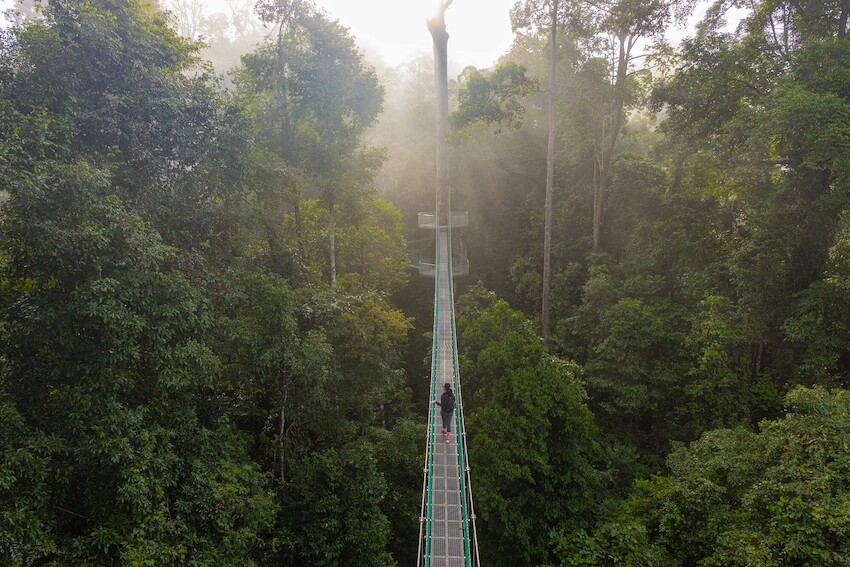 Packages and prices — Danum Valley, Sabah
