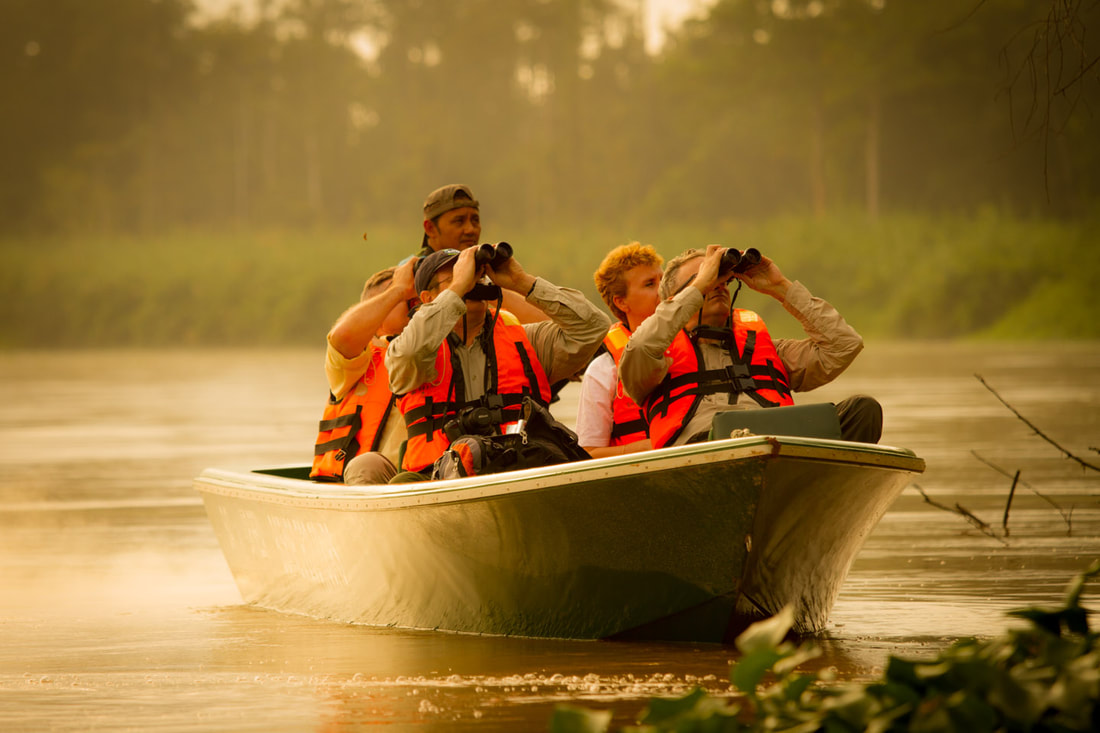 River safari boat, Kinabatangan — Danum Valley